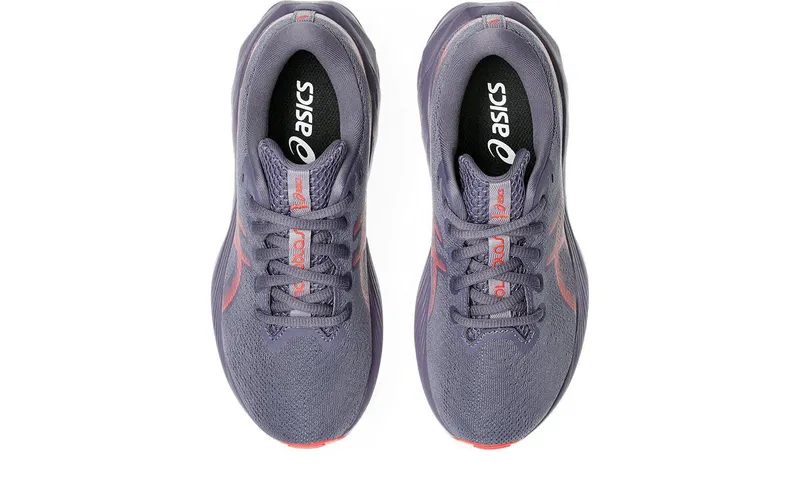ASICS Novablast 5 Greyish Purple Coral Reef (1014A367-500)