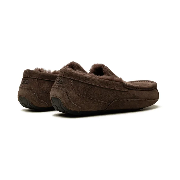 ugg-ascot 1101110-DDC