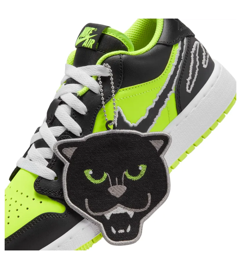 air-jordan-1 DX6666-701