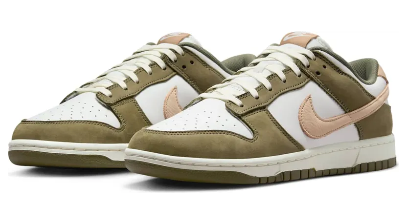nike-dunk FQ8250-200