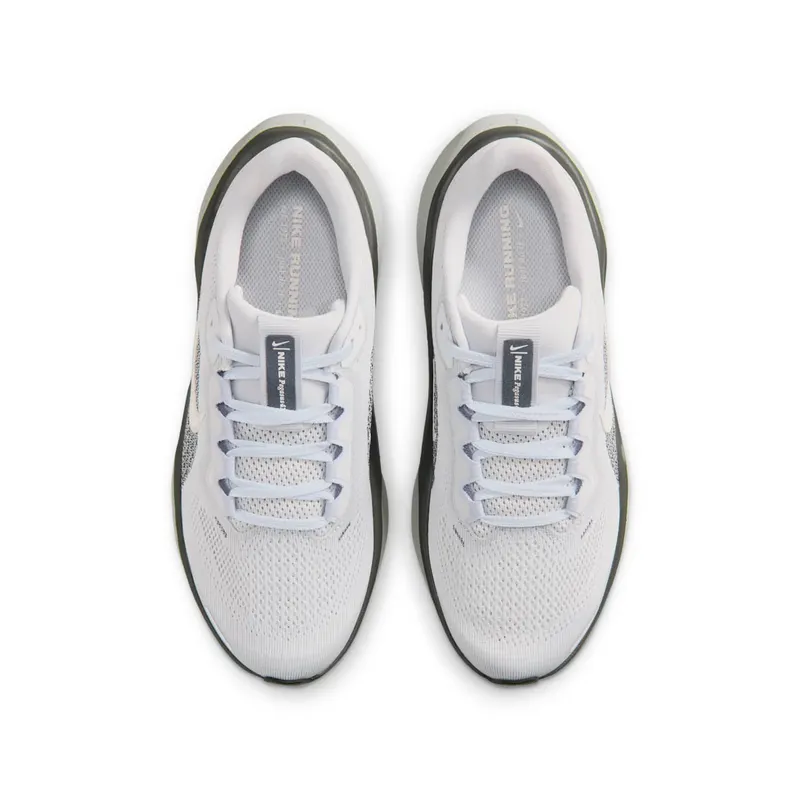 Nike Pegasus Pure Platinum/Anthracite/Light Silver/Sail (FN5041-006)