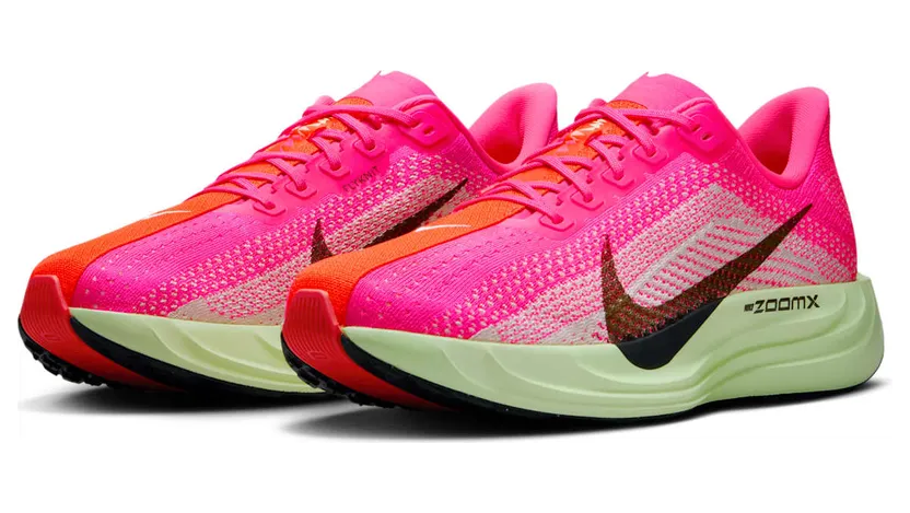 nike-air-pegasus HV3022-600