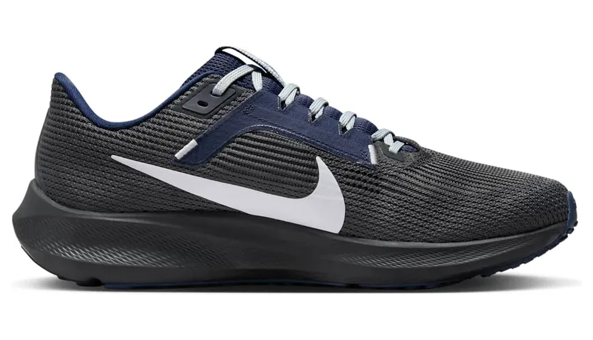 nike-air-pegasus DZ5975-001