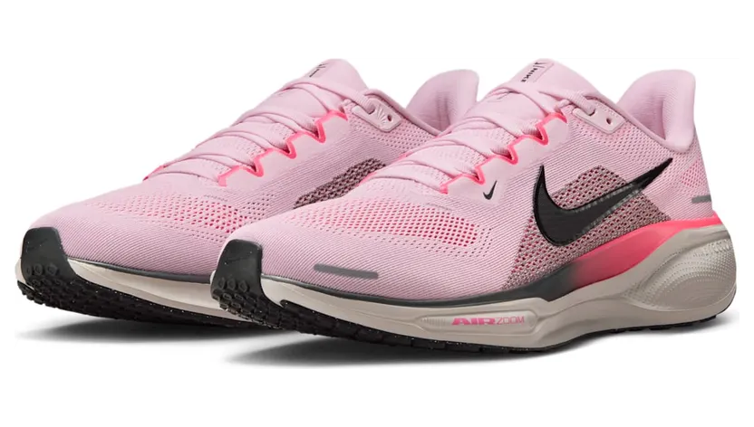 nike-air-pegasus FD2722-604