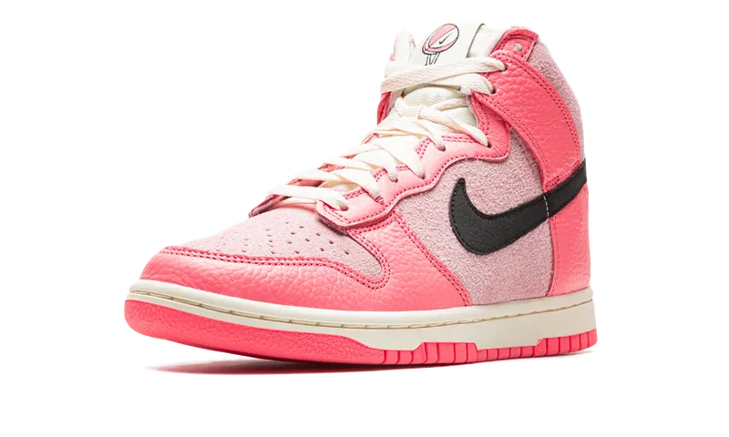 Nike DUNK HIGH “Hoops Pack Pink” (DX3359-600)