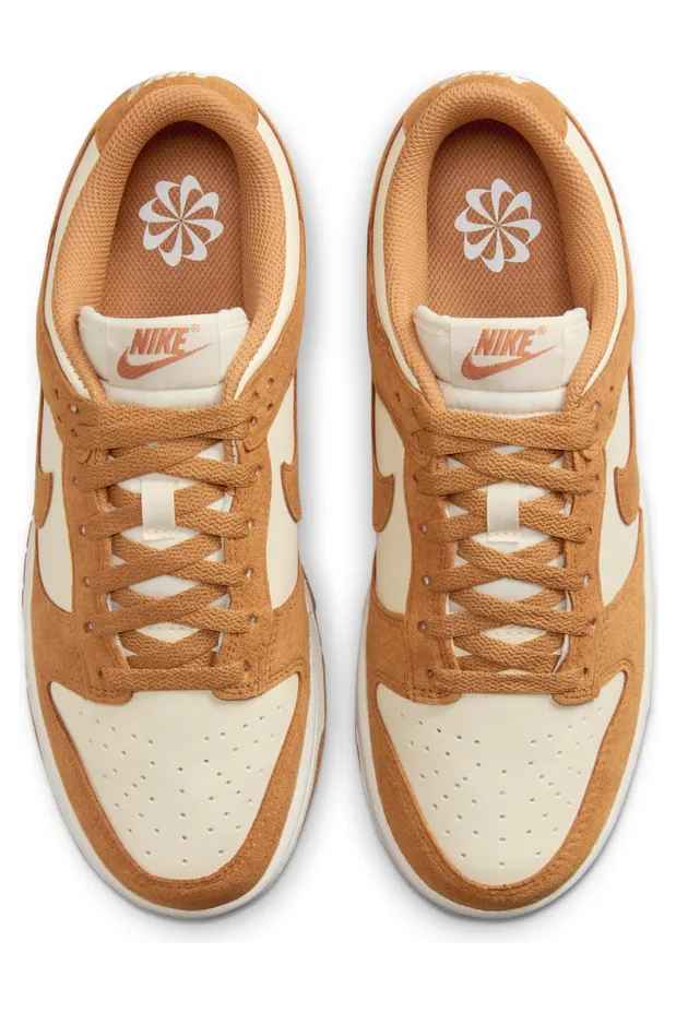 nike-dunk HJ7673-100