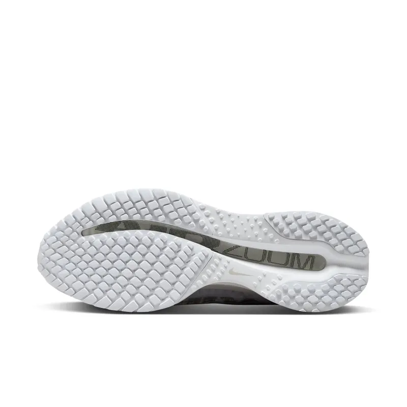 Nike Pegasus Premium “White Metallic Silver” (HQ2592-102)