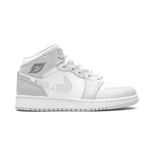 air-jordan-1 DD3235-100