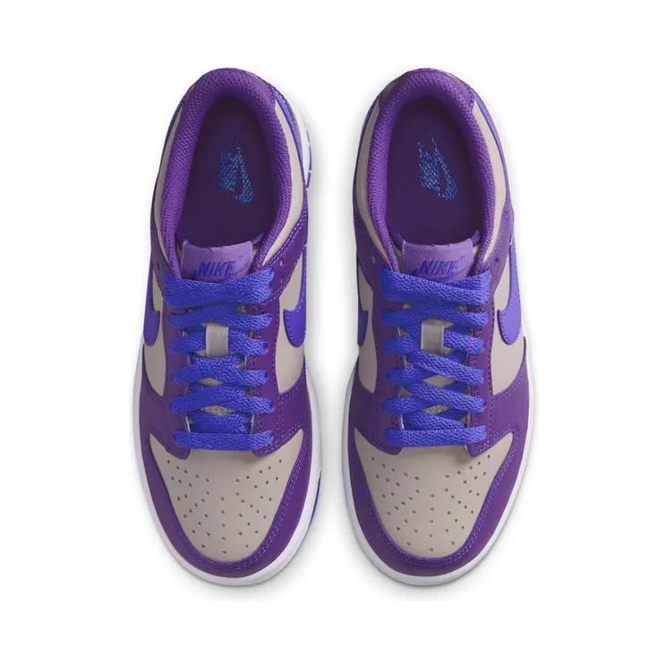nike-dunk FB9109-007