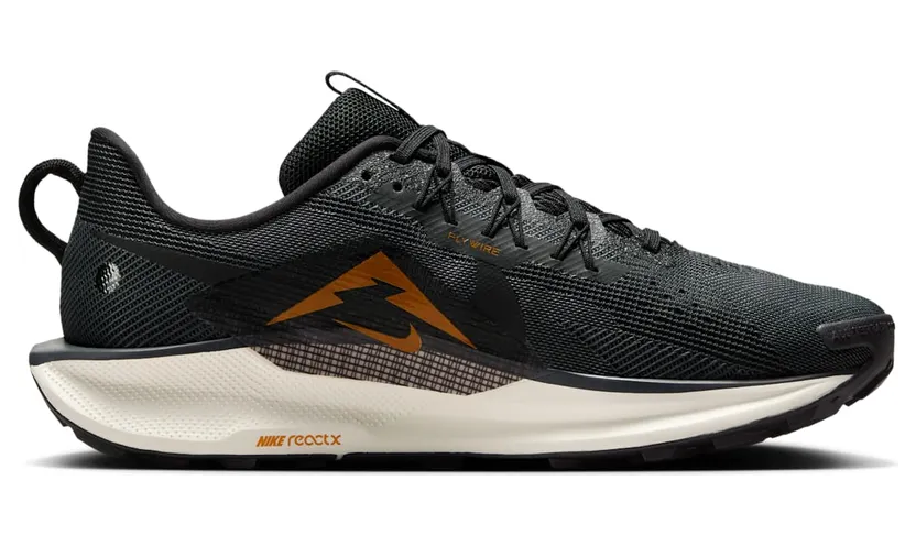 nike-air-pegasus DV3864-006