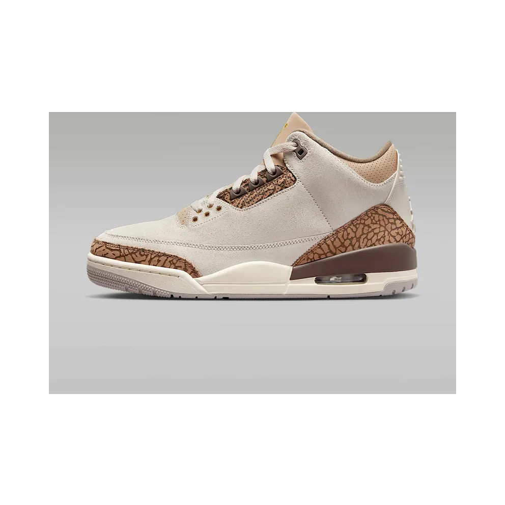Air Jordan 3 “Palomino” (CT8532-102)