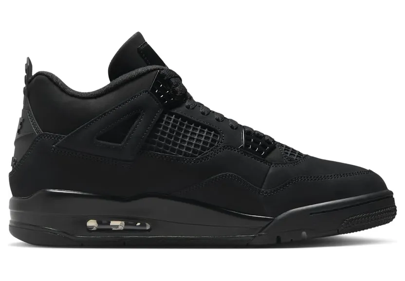 air-jordan-4 FV5029-010