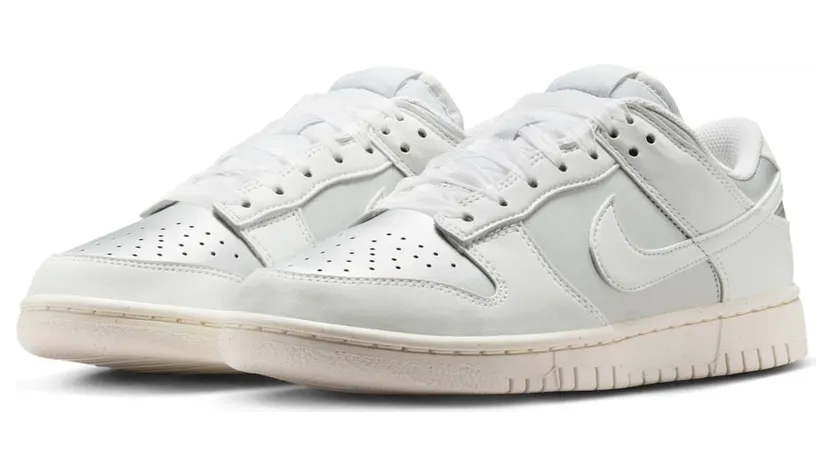 nike-dunk IB7311-001