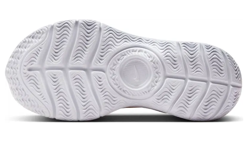 nike-flex FN1449-600