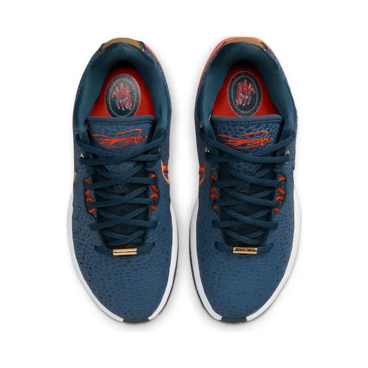nike-lebron FV3606-400