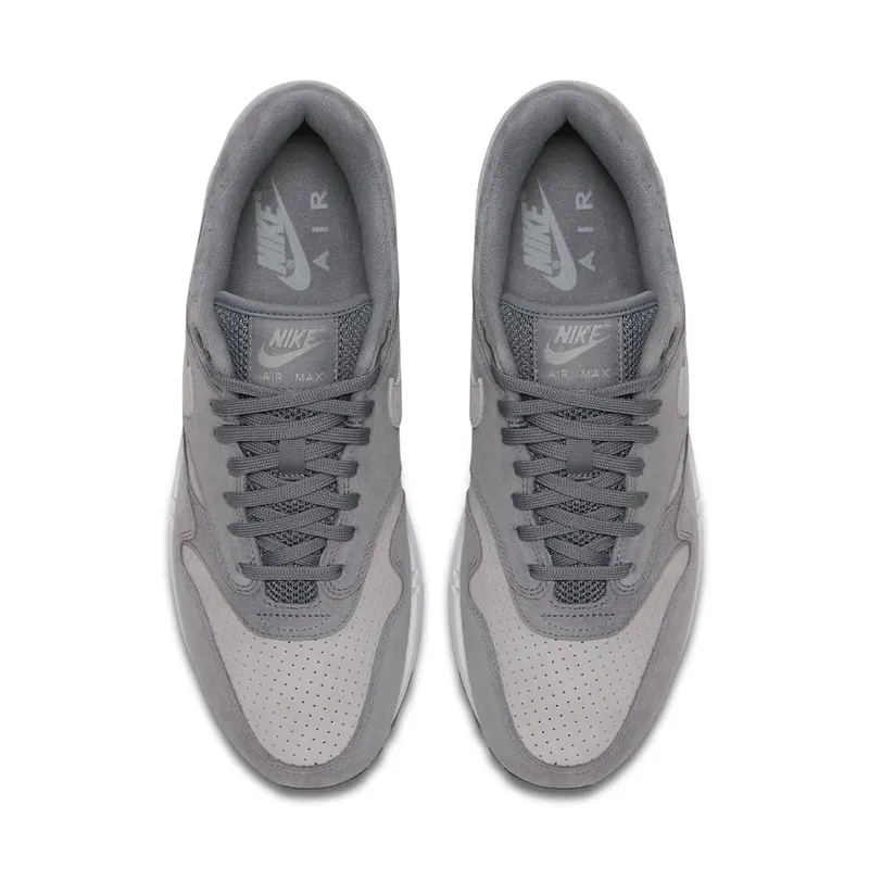 Nike Air Max 1 Cool Grey Wolf Grey (2018) (875844-005)