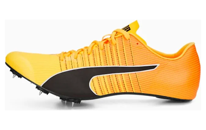 puma-evospeed 377379-01