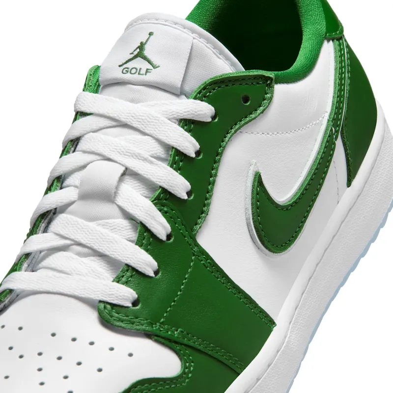 air-jordan-1 DD9315-300