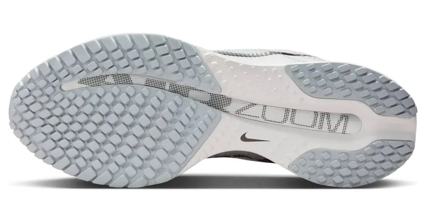nike-air-pegasus HQ2593-005