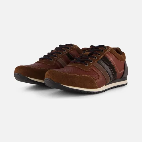 Australian Brown (6000062912C36)