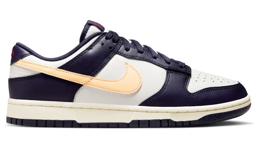 nike-dunk FV8106-181
