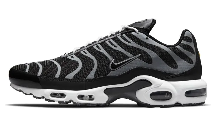 Nike Air Max Plus Zwart (DM2466-001)