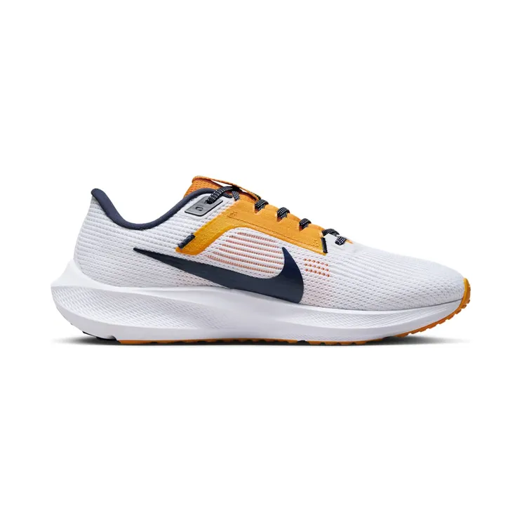 nike-air-pegasus DZ6005-100