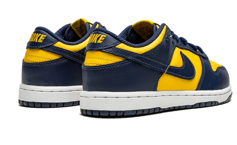 nike-dunk CW1588-700