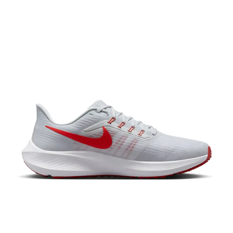 Nike Air Zoom Pegasus 39 “Platinum / Crimson” (DH4071-009)
