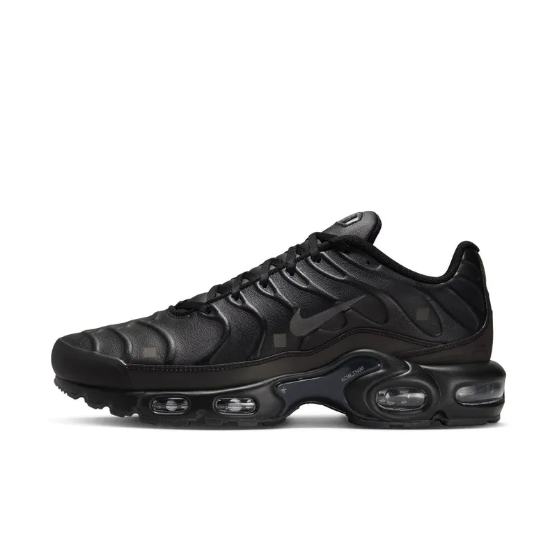 Nike Air Max Plus x A-COLD-WALL* Black/Light Iron Ore/Obsidian/Off-Noir (FD7855-001)