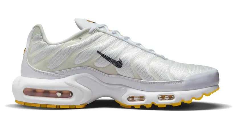 nike-air-max DQ8960-100