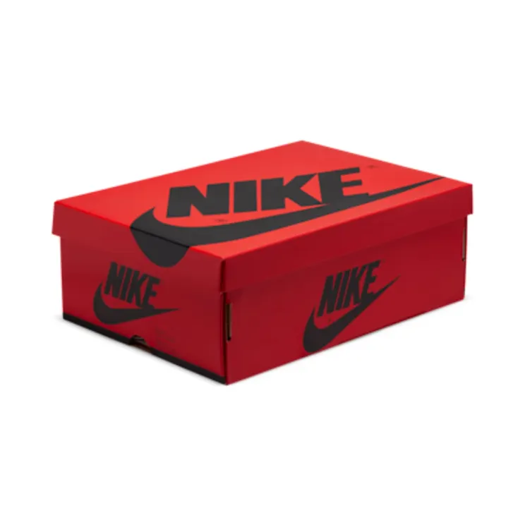 air-jordan-1 DM9036-104
