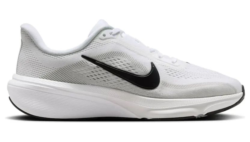 nike-air-pegasus IH2306-101