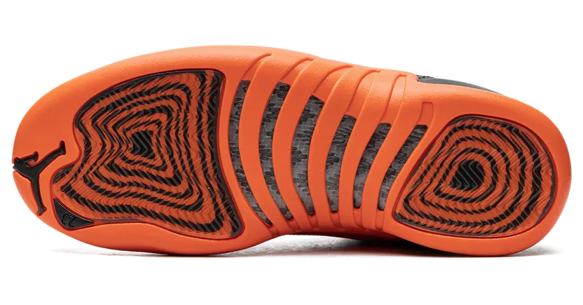 air-jordan-12 FD9101-081
