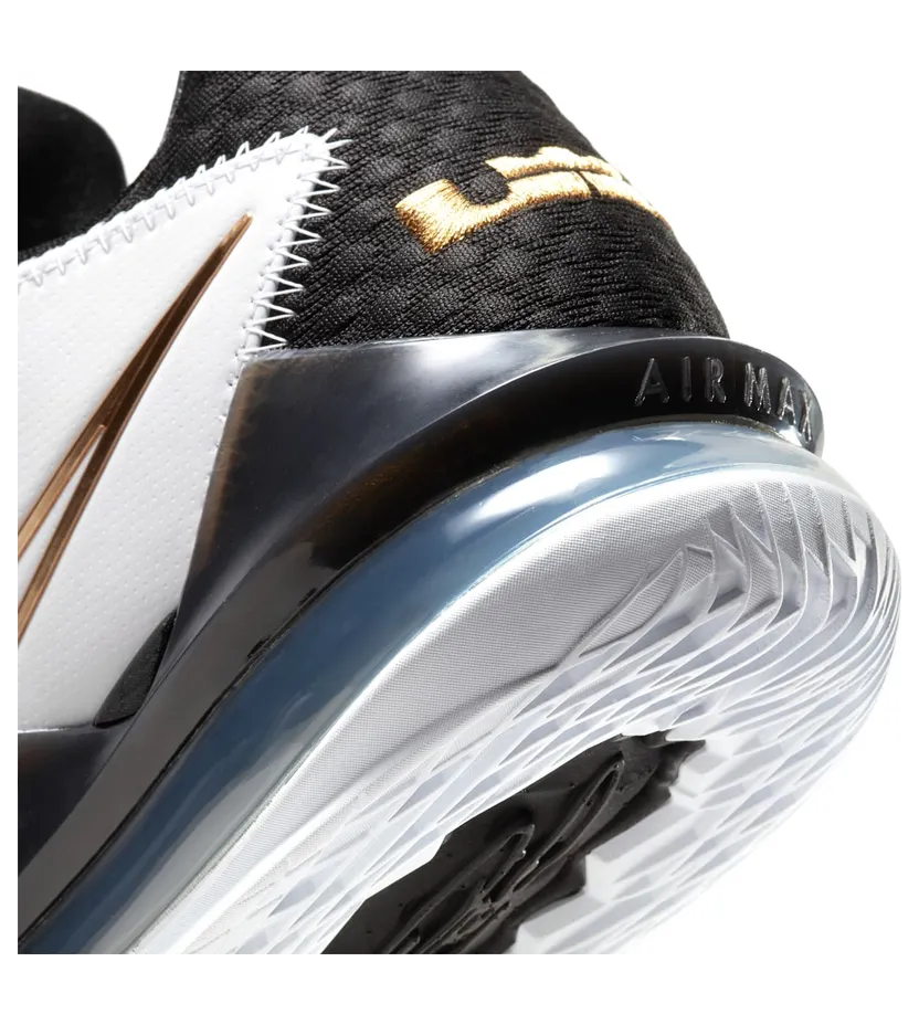 nike-lebron CD5006-101
