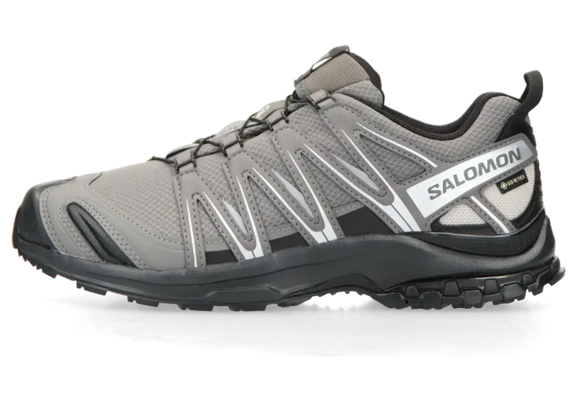 Salomon XA PRO 3D Gore-Tex (grau) – L47587500