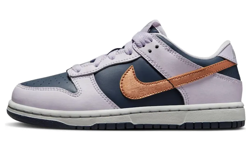 Nike Dunk Low DX1664-400