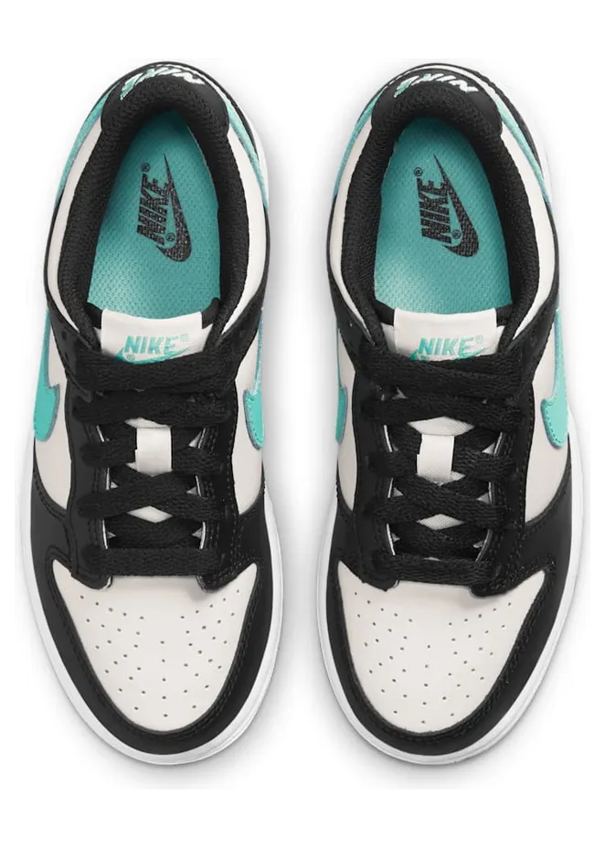 nike-dunk CW1588-003