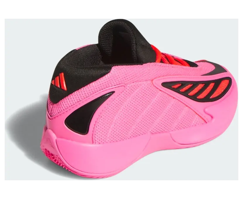 adidas-ae-2 JR2256