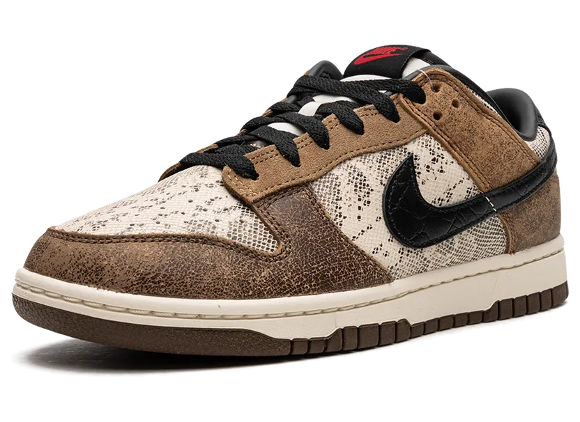 nike-dunk FJ5434-120