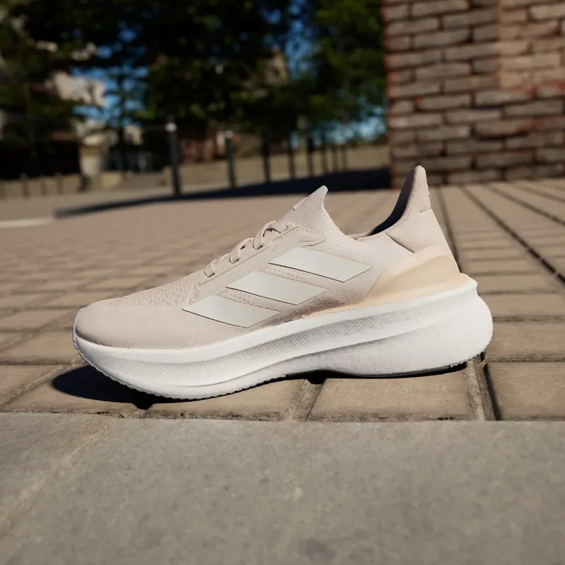 Adidas Ultraboost 5x Putty Mauve / Zero Metalic / Halo Silver (IH3104)