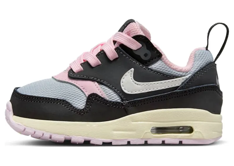Nike Air Max 1 DZ3309-004