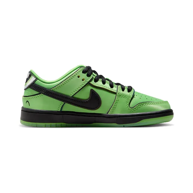 nike-dunk-sb FZ8832-300