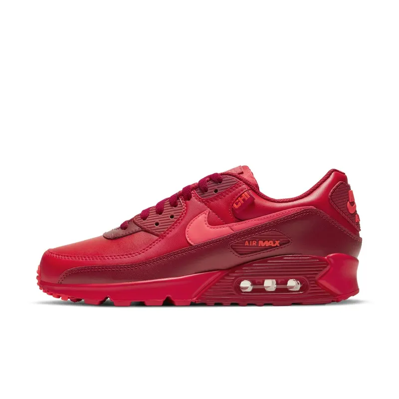 Nike Air Max 90 City Special Chicago (DH0146-600)