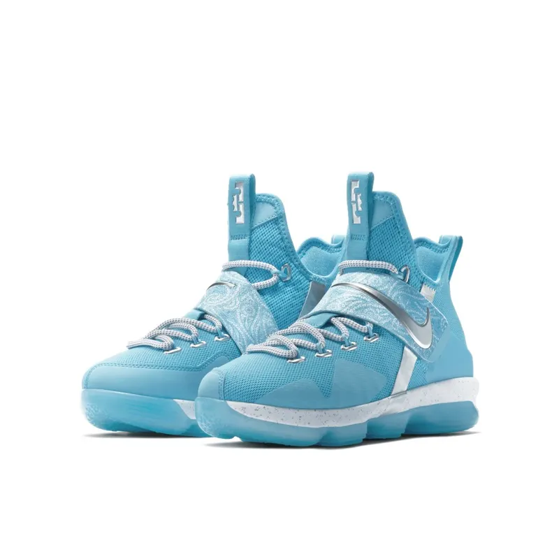 Nike LeBron 14 Ric Flair (GS) Blue Fury/Metallic Silver-Equator Blue (AA3258-404)