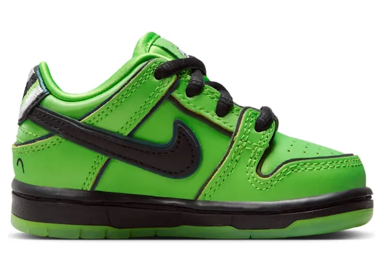 nike-dunk-sb FZ8831-300