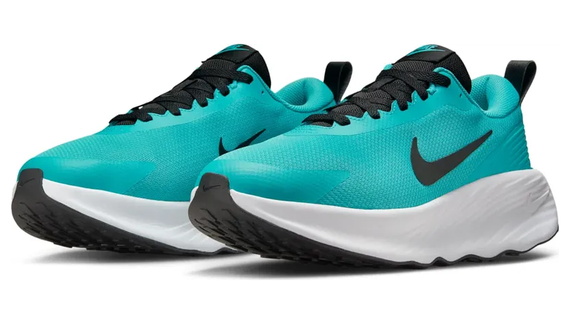 nike-promina FV5285-300