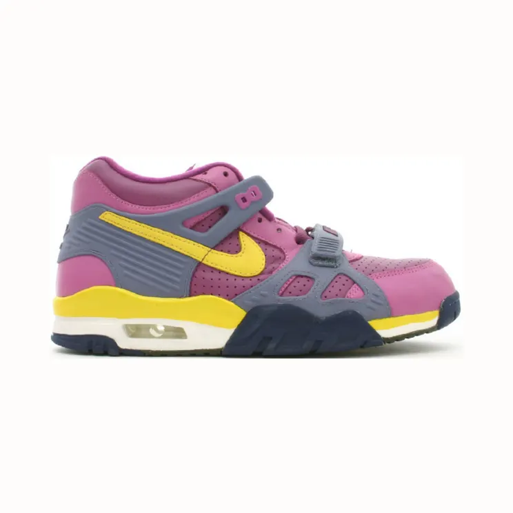 Nike Air Trainer 3 Viotech
