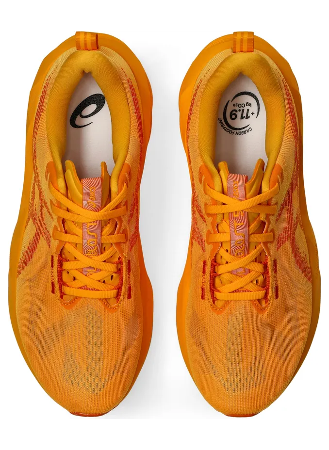 asics-novablast 1011B974-800