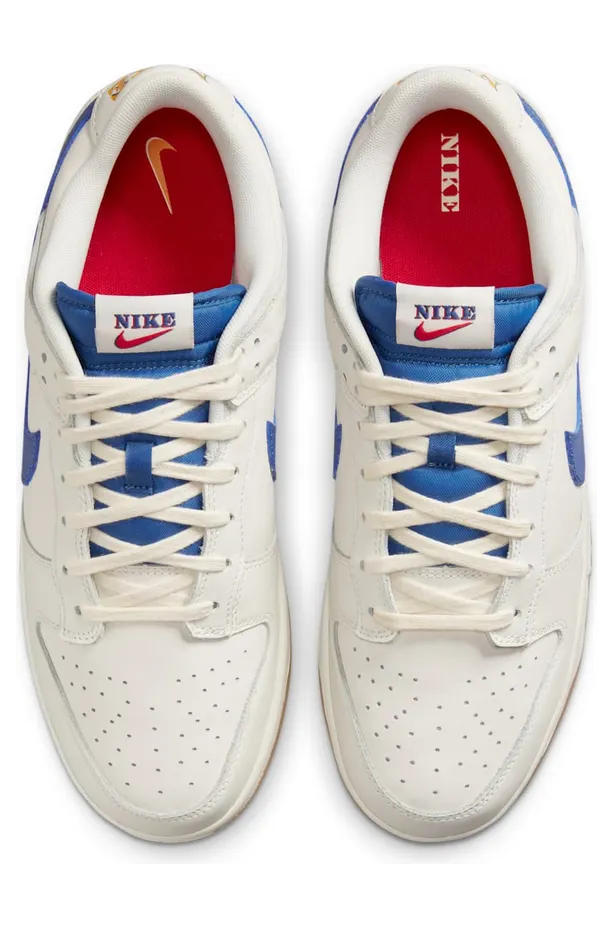 nike-dunk DX3198-133